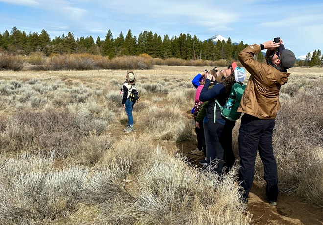 Bird Walk