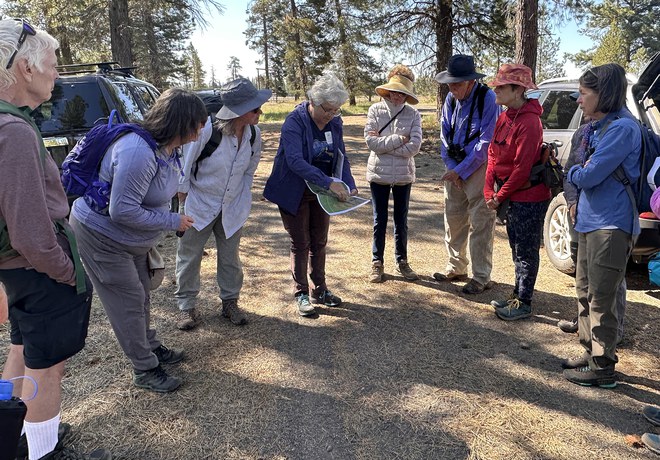 Forest Restoration Tour