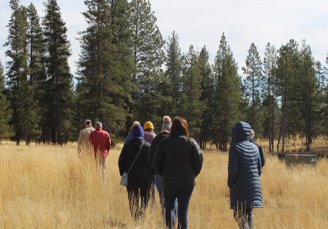 Forest Restoration Tour