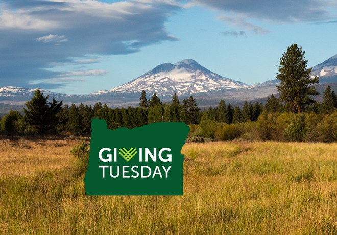 Giving Tuesday