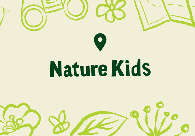 Nature Kids: Winged Wonders!