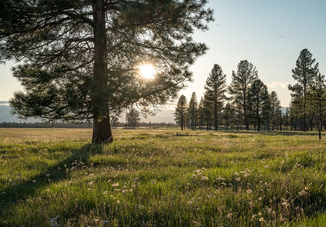 Paulina Creek Preserve Tour