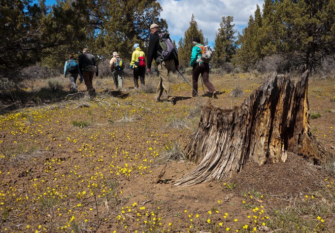 Wildflower Hike