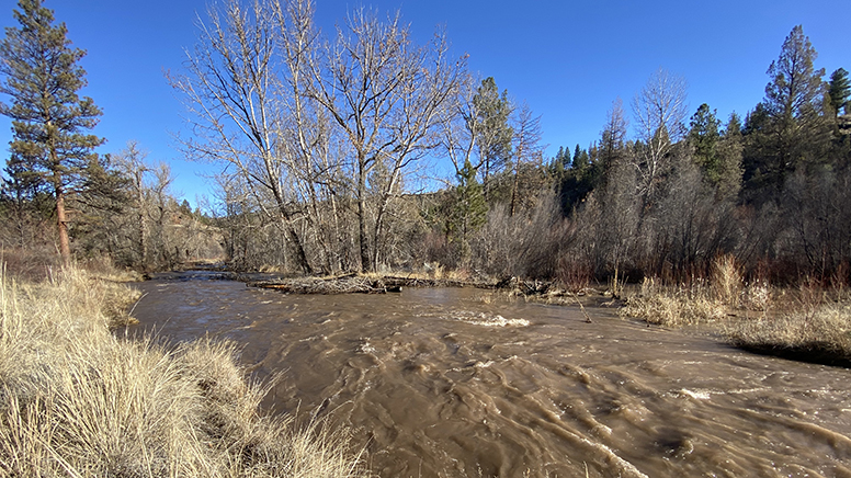 High Flows At Whychus Canyon Preserve — Deschutes Land Trust