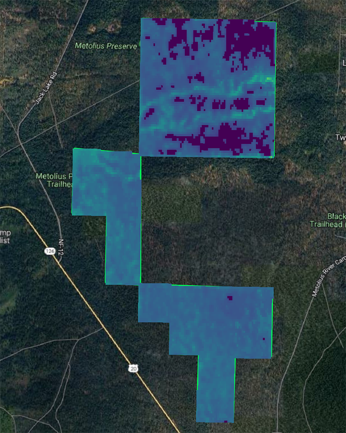 Map of the Metolius Preserve showing carbon storage. Darker colors = less carbon stored; brighter colors = more carbon stored.