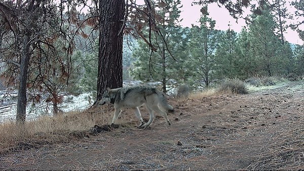 Photo: Land Trust.