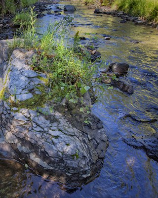 Whychus Creek at Whychus Canyon Preserve. Photo: Jay Mather.