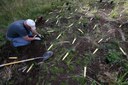 JM.CPM_2010_9_22_CAMP_POLK_SEDGE_PLANTING_tv_2400px.jpg