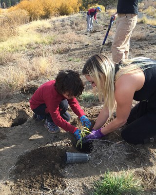 Volunteers help out at a planting work party at Camp Polk Meadow Preserve. Photo: Land Trust.