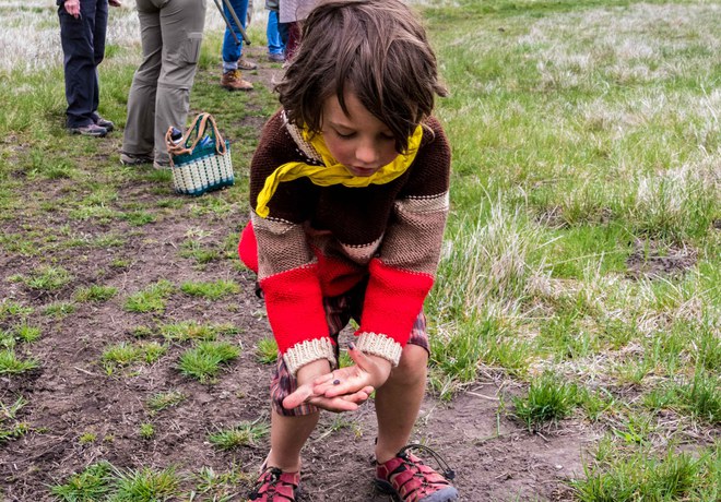 Explore Nature with your Animal Senses!