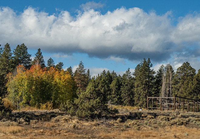 Fall Colors at Land Trust Preserves