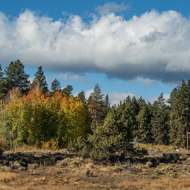 Fall Colors at Land Trust Preserves