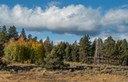 Fall Colors at Land Trust Preserves