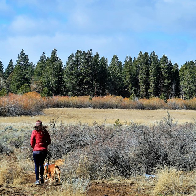 Simple Smart Steps for a Safe Fall Hike