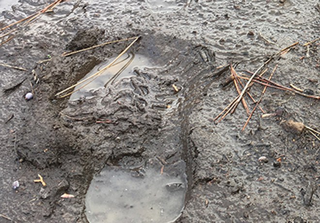 Caring for the Land During Muddy Trail Season