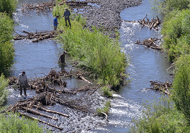 Willow Springs Preserve Restoration Wraps Up