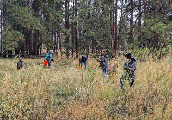 Plantings Wrap Up at Land Trust Preserves