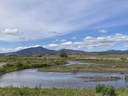 Central Oregon Daily News Checks in on the Ochoco Preserve restoration project