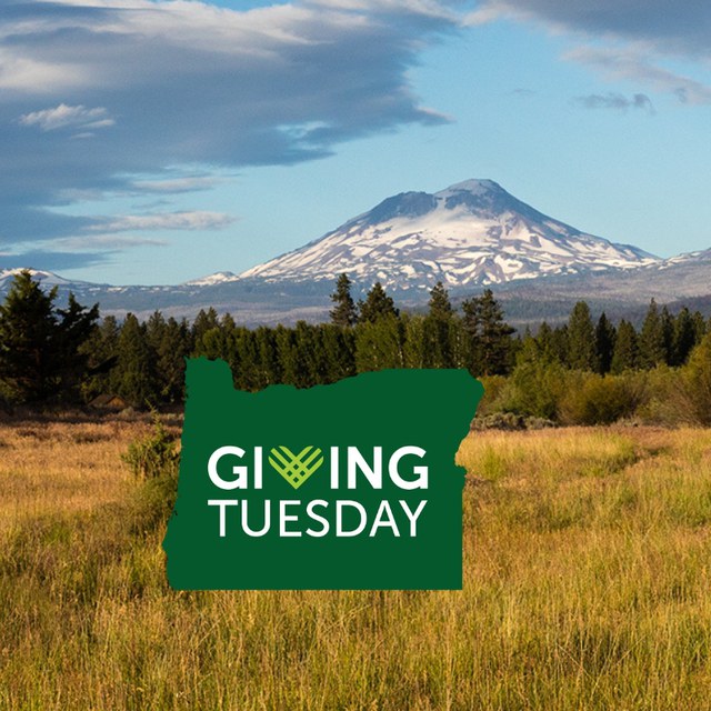 Double Your Impact with the Land Trust on Giving Tuesday