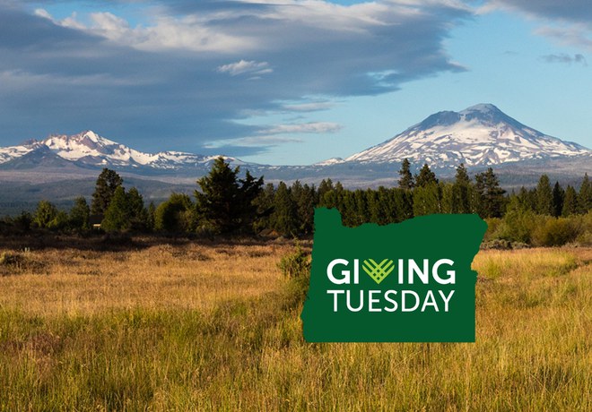 Double Your Impact with the Land Trust on Giving Tuesday