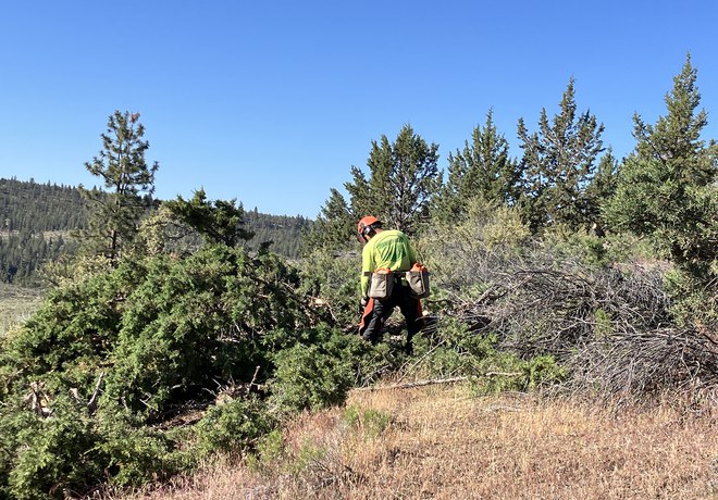 Land Trust Completes Juniper Thinning at Rimrock Ranch