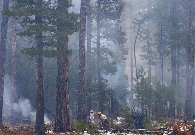 Prescribed Burn Planned for Metolius Preserve