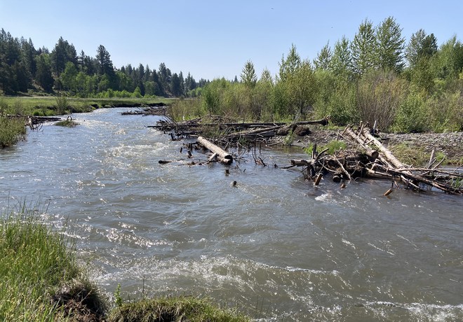 The Nugget reports on ongoing stream restoration at Willow Springs Preserve