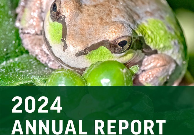 2024 Annual Report Now Available