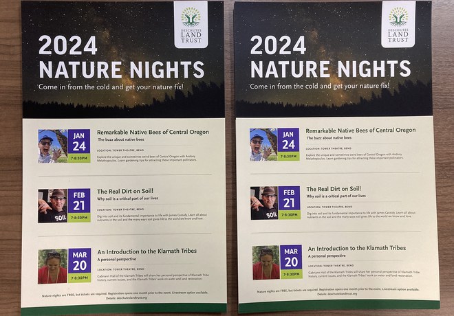 Nature Night Postering Help